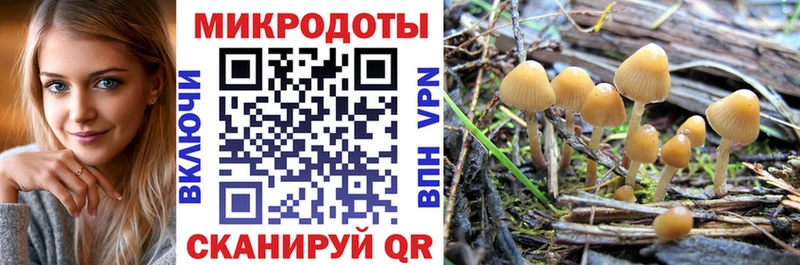 где найти наркотики  Ладушкин  OMG маркетплейс  Галлюциногенные грибы Magic Shrooms 